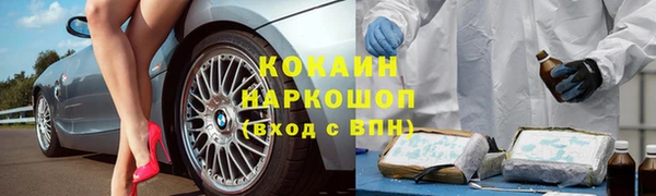 гашик Новозыбков