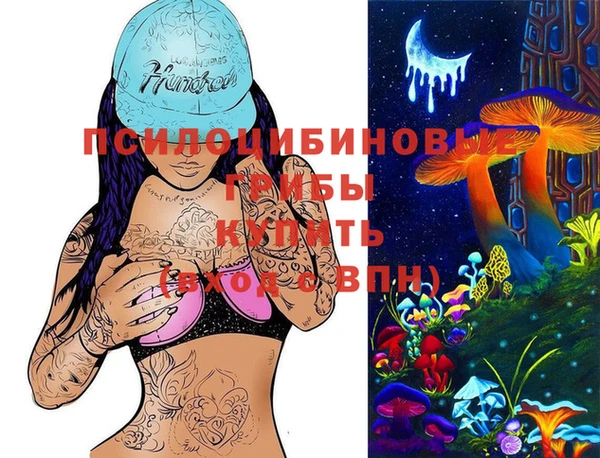 МДПВ Новокубанск
