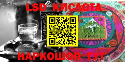 спайс Тара