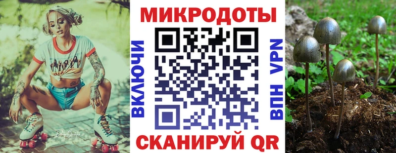 Галлюциногенные грибы мухоморы купить Октябрьский