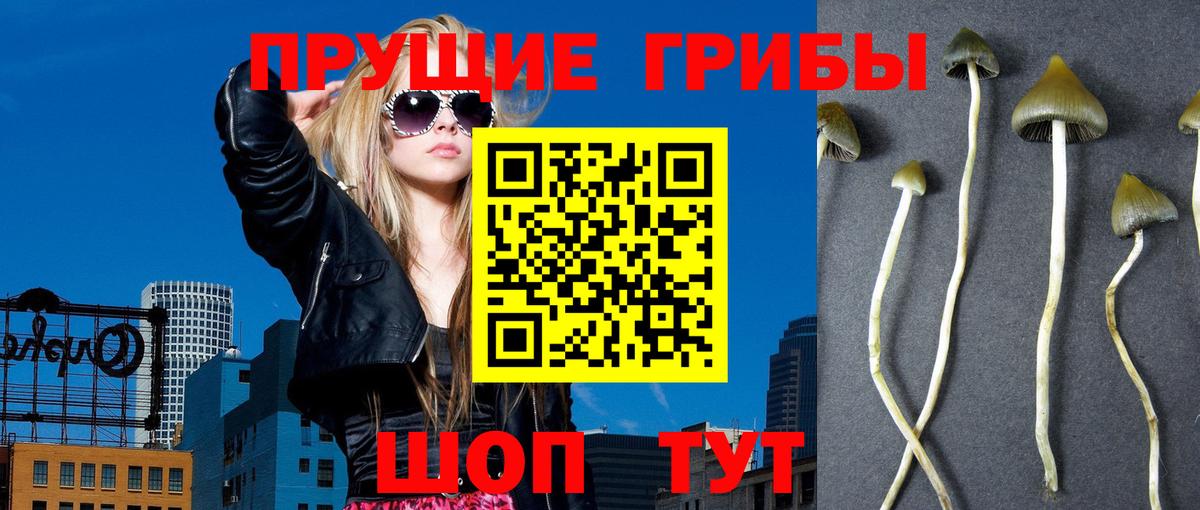 Галлюциногенные грибы мицелий Октябрьский